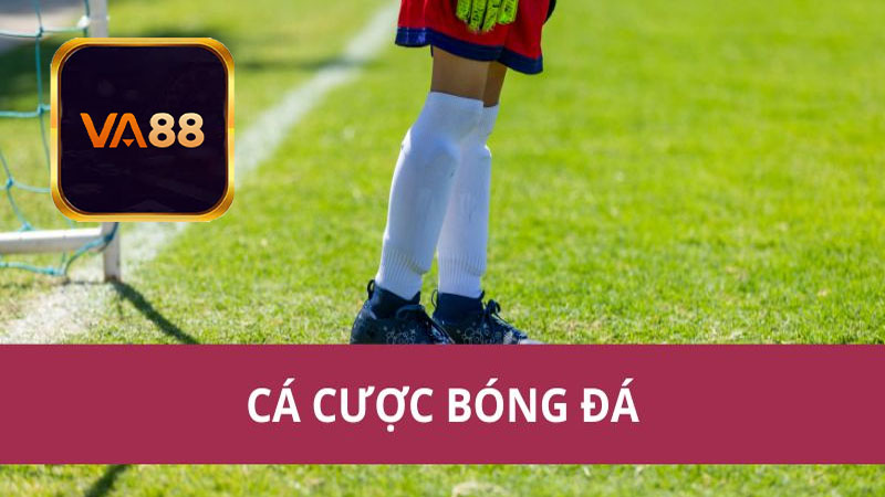 Cá Cược Bóng Đá Phổ Biến Loại Hình Gì